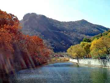 新澳天天开奖资料大全旅游团，动画小说